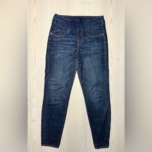 Rock & Republic Indigo Skinny Pants